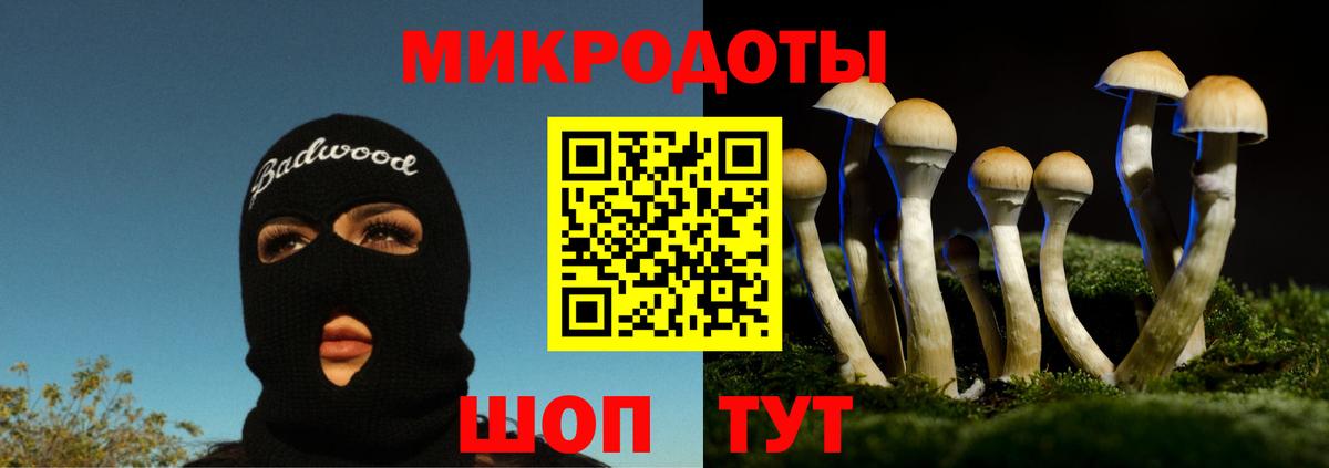 Псилоцибиновые грибы Magic Shrooms  Вход с VPN  Кострома 